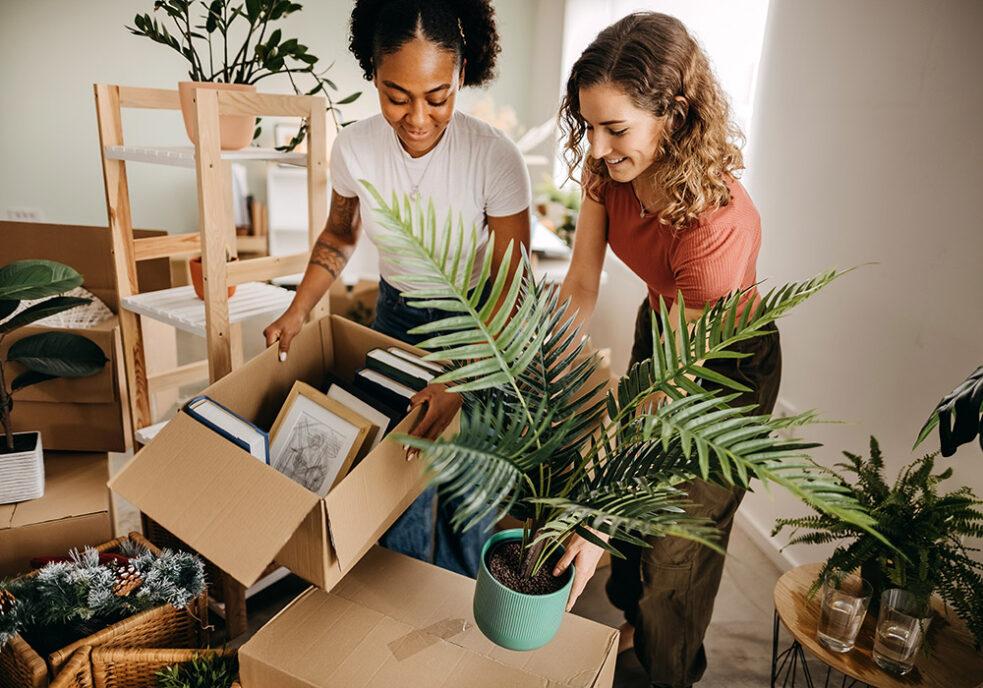 Moving house