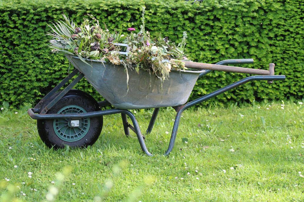 Garden work party: wheelbarrows